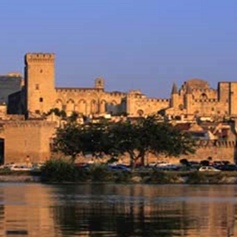 Visite du Palais des Papes