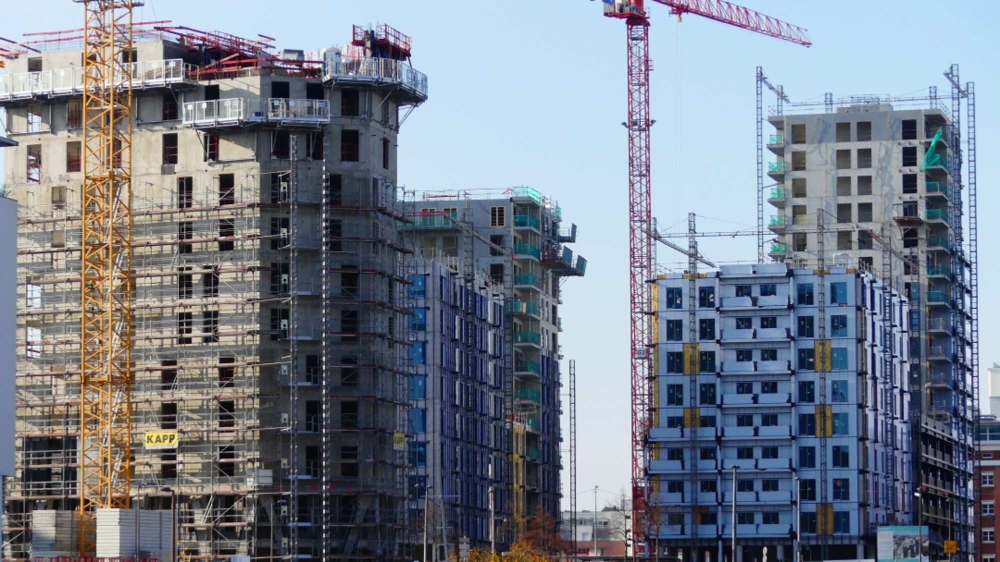 GIP GRAND EST BLACK SWANS STRASBOURG