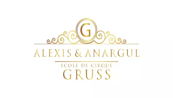 Soirée cirque